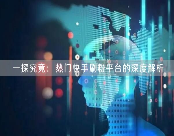 一探究竟：热门快手刷粉平台的深度解析
