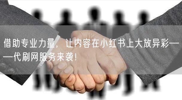 借助专业力量，让内容在小红书上大放异彩——代刷网服务来袭！
