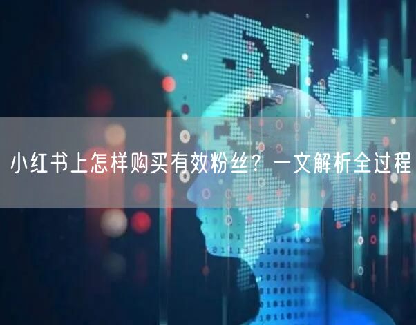 小红书上怎样购买有效粉丝？一文解析全过程