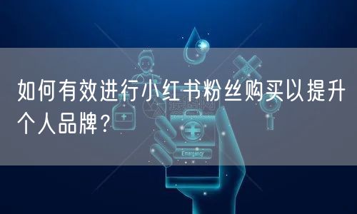 如何有效进行小红书粉丝购买以提升个人品牌？