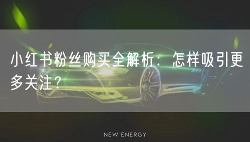 小红书粉丝购买全解析：怎样吸引更多关注？