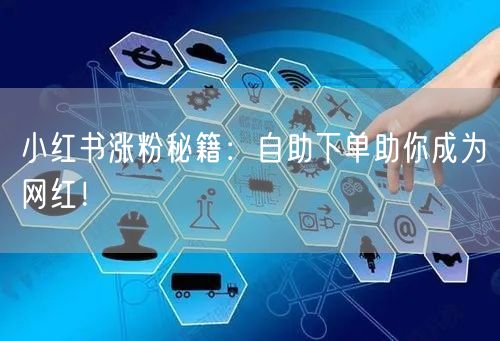 小红书涨粉秘籍：自助下单助你成为网红！