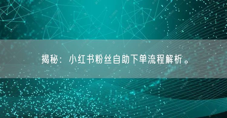 揭秘：小红书粉丝自助下单流程解析。