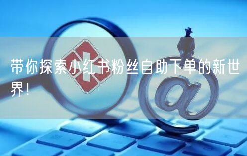 带你探索小红书粉丝自助下单的新世界！