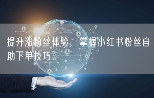 提升涨粉丝体验，掌握小红书粉丝自助下单技巧。