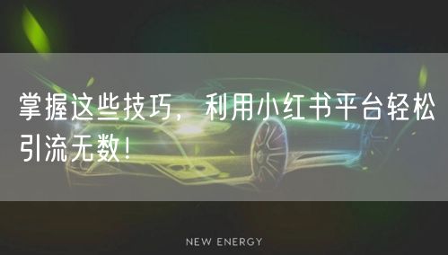 掌握这些技巧，利用小红书平台轻松引流无数！