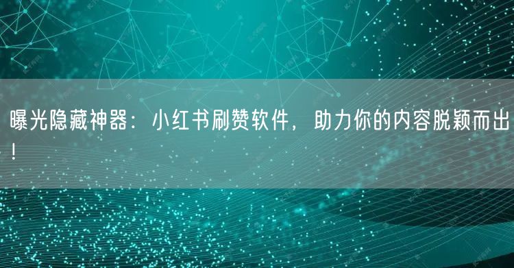 曝光隐藏神器：小红书刷赞软件，助力你的内容脱颖而出！