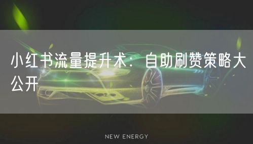 小红书流量提升术：自助刷赞策略大公开