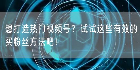 想打造热门视频号？试试这些有效的买粉丝方法吧！