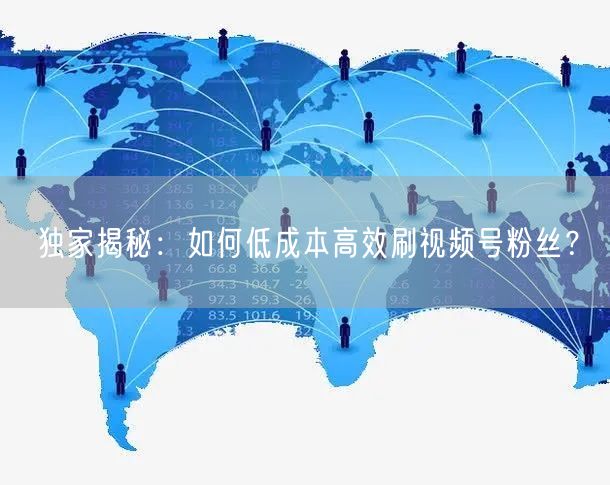 独家揭秘：如何低成本高效刷视频号粉丝？
