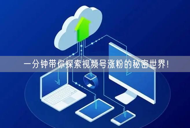一分钟带你探索视频号涨粉的秘密世界！