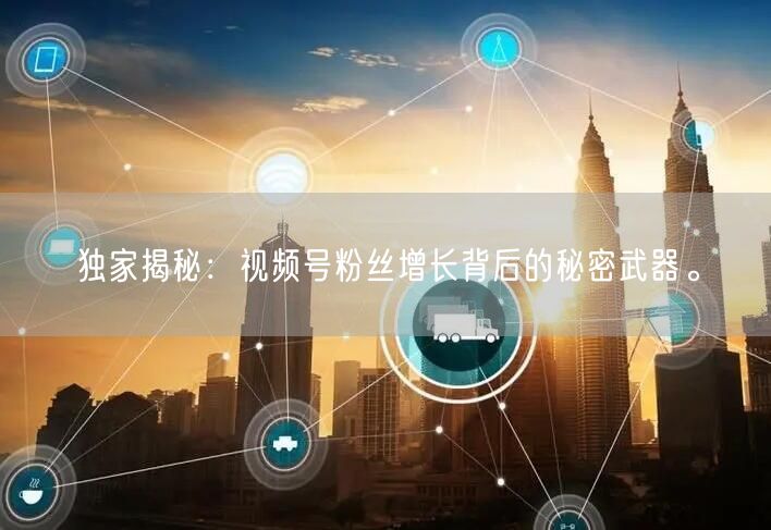 独家揭秘：视频号粉丝增长背后的秘密武器。