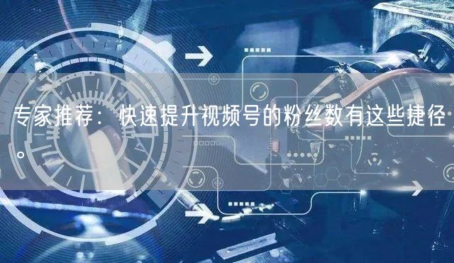 专家推荐：快速提升视频号的粉丝数有这些捷径。