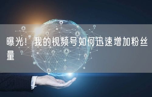 曝光！我的视频号如何迅速增加粉丝量
