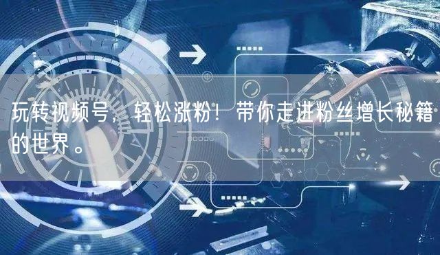 玩转视频号，轻松涨粉！带你走进粉丝增长秘籍的世界。
