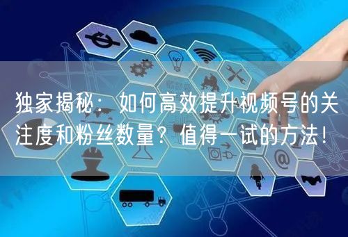 独家揭秘：如何高效提升视频号的关注度和粉丝数量？值得一试的方法！