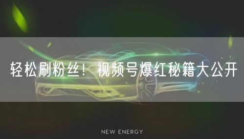 轻松刷粉丝！视频号爆红秘籍大公开