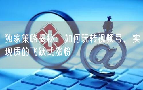 独家策略揭秘：如何玩转视频号，实现质的飞跃式涨粉