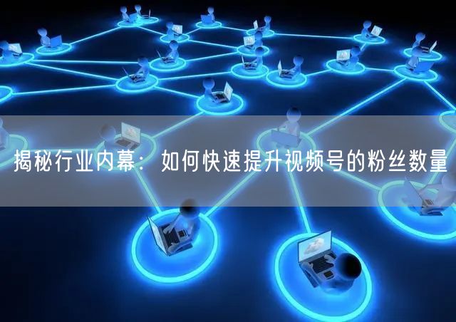 揭秘行业内幕：如何快速提升视频号的粉丝数量