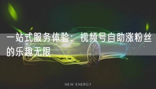 一站式服务体验：视频号自助涨粉丝的乐趣无限