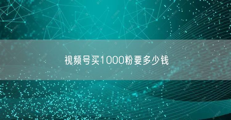 视频号买1000粉要多少钱