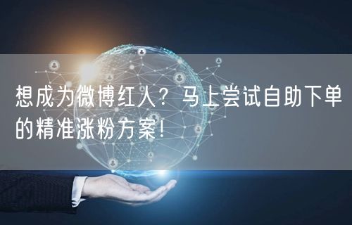 想成为微博红人？马上尝试自助下单的精准涨粉方案！