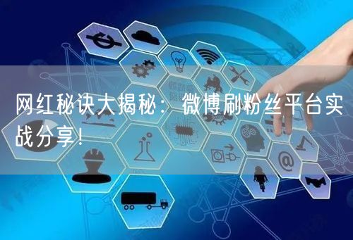 网红秘诀大揭秘：微博刷粉丝平台实战分享！