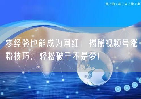 零经验也能成为网红！揭秘视频号涨粉技巧，轻松破千不是梦！