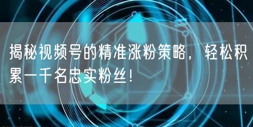 揭秘视频号的精准涨粉策略，轻松积累一千名忠实粉丝！