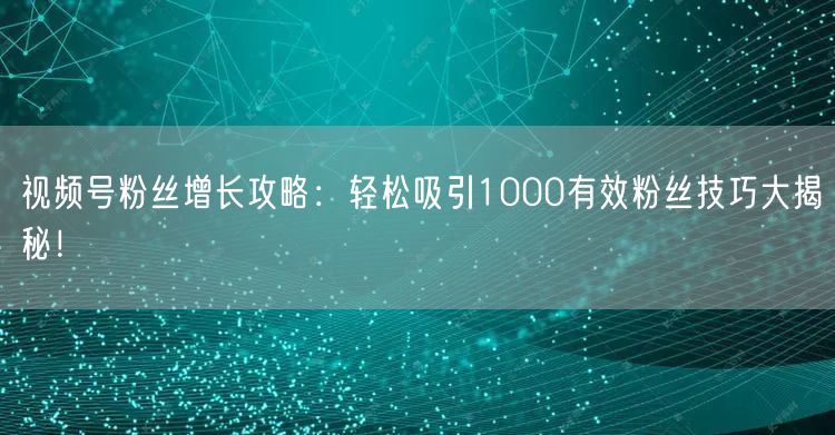视频号粉丝增长攻略：轻松吸引1000有效粉丝技巧大揭秘！