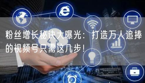 粉丝增长秘诀大曝光：打造万人追捧的视频号只需这几步！