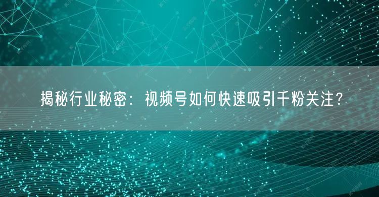 揭秘行业秘密：视频号如何快速吸引千粉关注？
