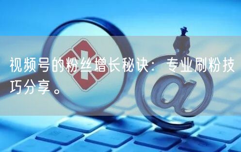 视频号的粉丝增长秘诀：专业刷粉技巧分享。