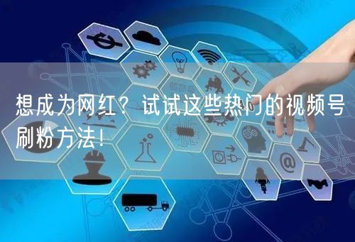 想成为网红？试试这些热门的视频号刷粉方法！