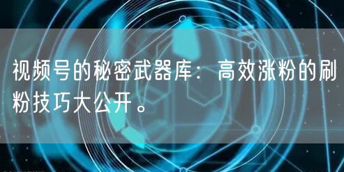 视频号的秘密武器库：高效涨粉的刷粉技巧大公开。