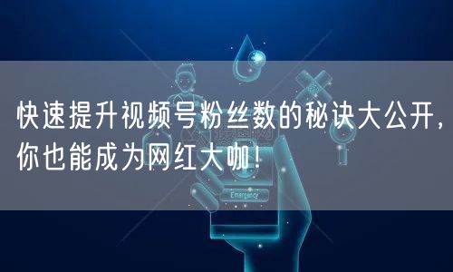 快速提升视频号粉丝数的秘诀大公开，你也能成为网红大咖！