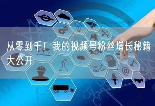 从零到千！我的视频号粉丝增长秘籍大公开