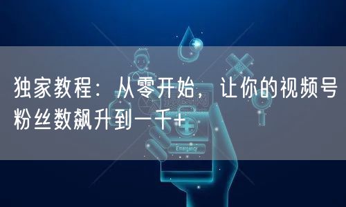 独家教程：从零开始，让你的视频号粉丝数飙升到一千+