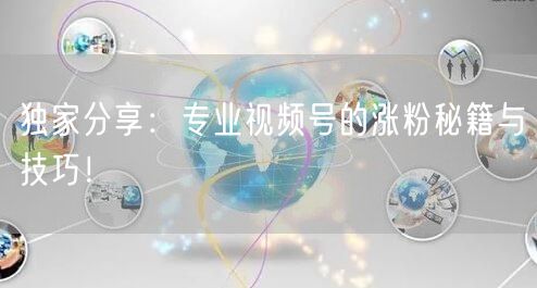 独家分享：专业视频号的涨粉秘籍与技巧！