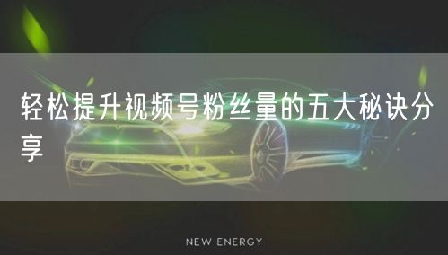 轻松提升视频号粉丝量的五大秘诀分享