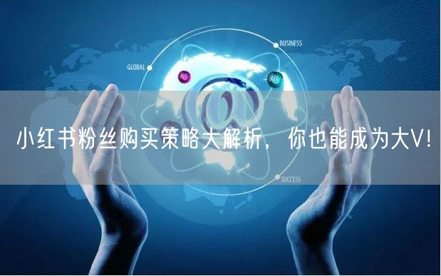 小红书粉丝购买策略大解析，你也能成为大V！