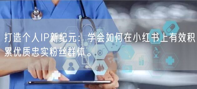 打造个人IP新纪元：学会如何在小红书上有效积累优质忠实粉丝群体。