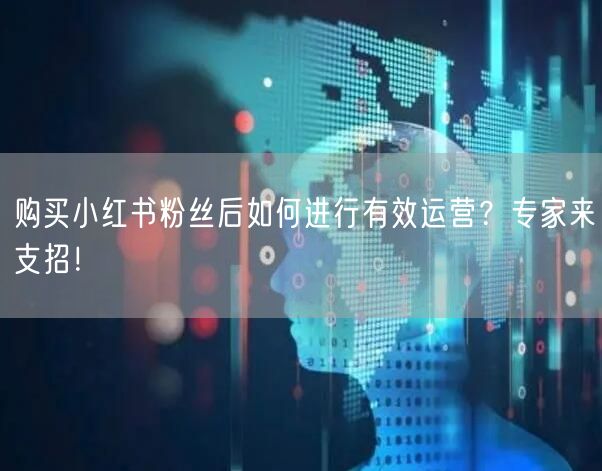 购买小红书粉丝后如何进行有效运营？专家来支招！