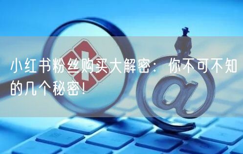 小红书粉丝购买大解密：你不可不知的几个秘密！