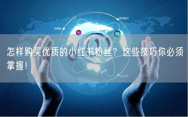 怎样购买优质的小红书粉丝？这些技巧你必须掌握！
