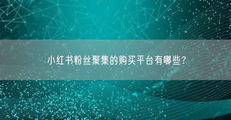 小红书粉丝聚集的购买平台有哪些？
