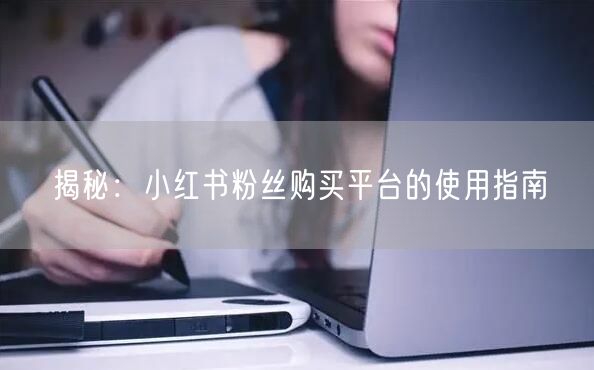 揭秘：小红书粉丝购买平台的使用指南