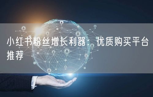 小红书粉丝增长利器：优质购买平台推荐