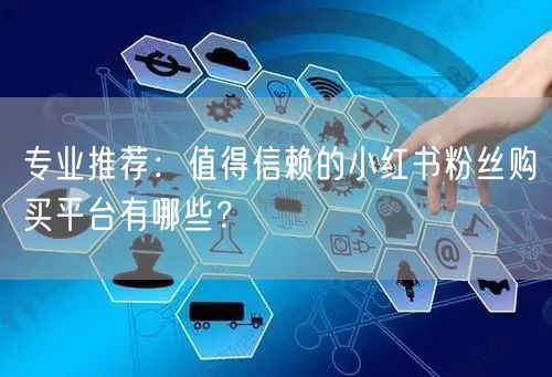 专业推荐：值得信赖的小红书粉丝购买平台有哪些？