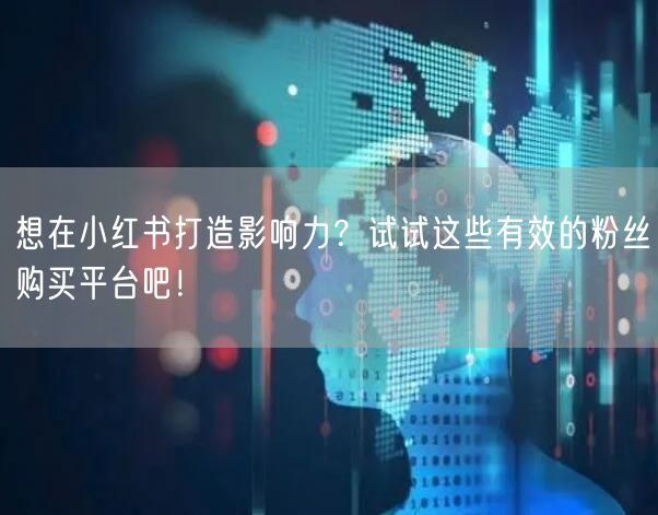 想在小红书打造影响力？试试这些有效的粉丝购买平台吧！
